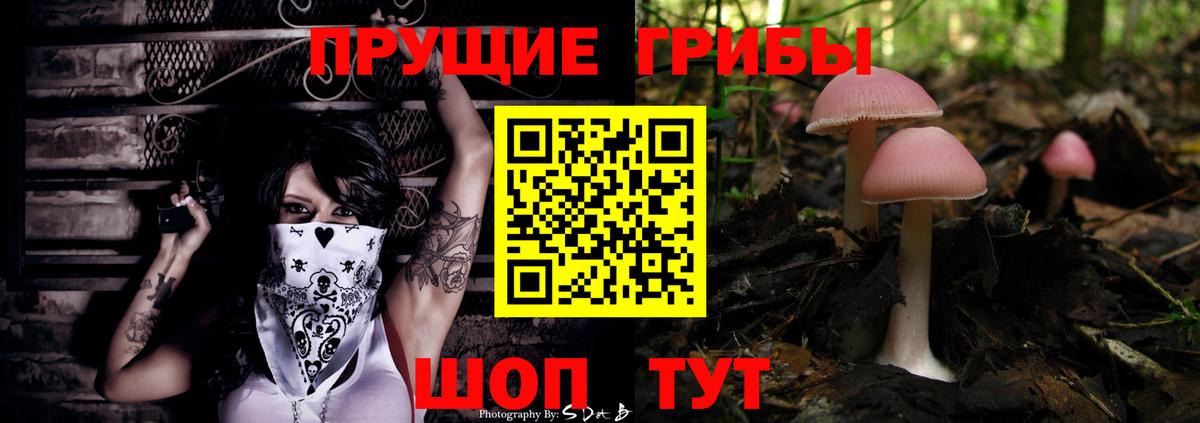 Галлюциногенные грибы Magic Shrooms  Вход с VPN  Надым 